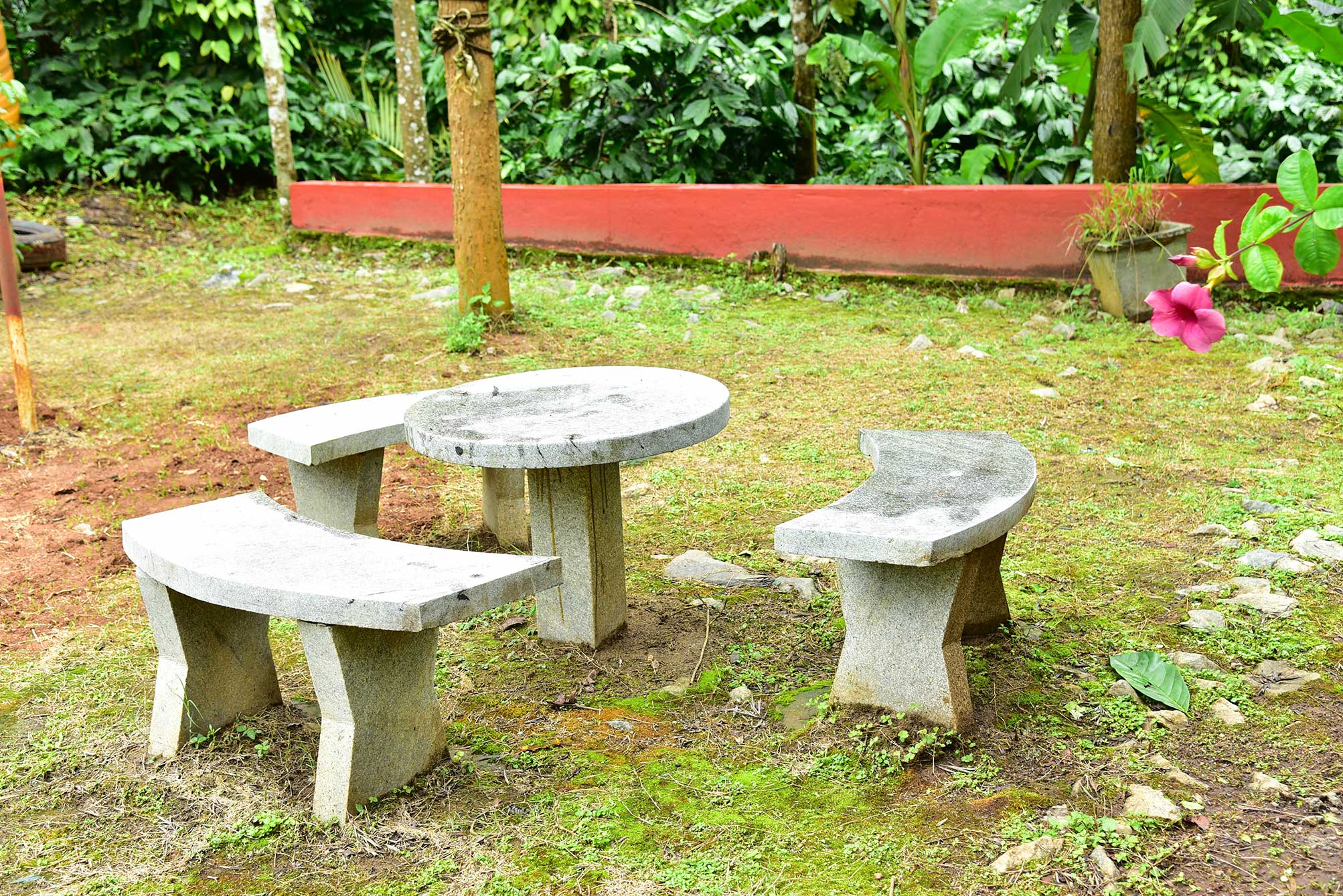 Chikmagalur Cottages | Rooms & Caretaker - Tap to explore photos