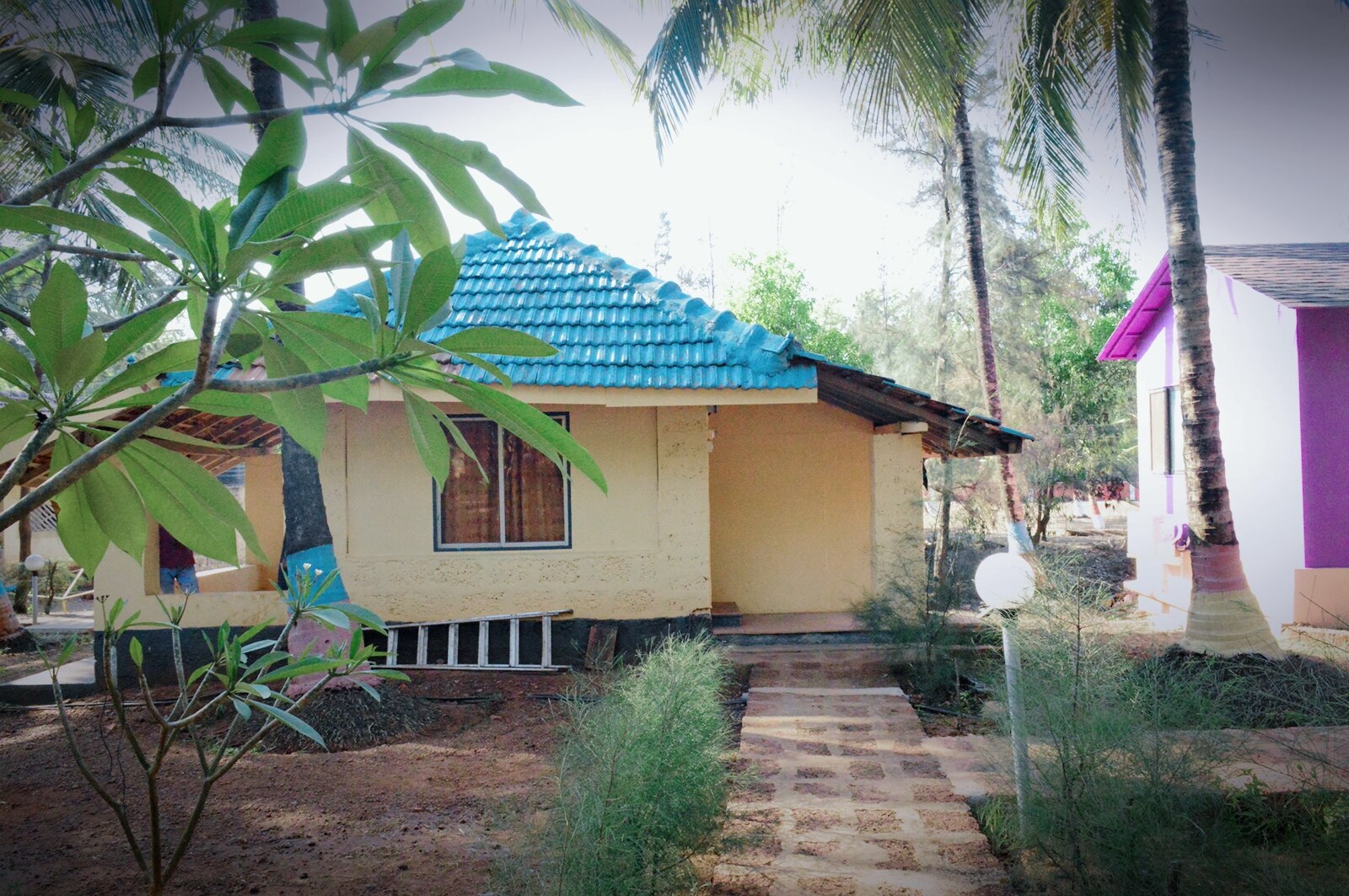 Tranquillity Beach Resort Ganpatipule Inr 600 Off 3 0 0 0