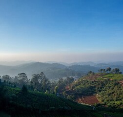 Deluxe Room with Balcony