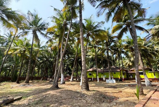 Coco Hut Devbaug