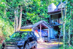 Green portico tent and hut stay, Munnar