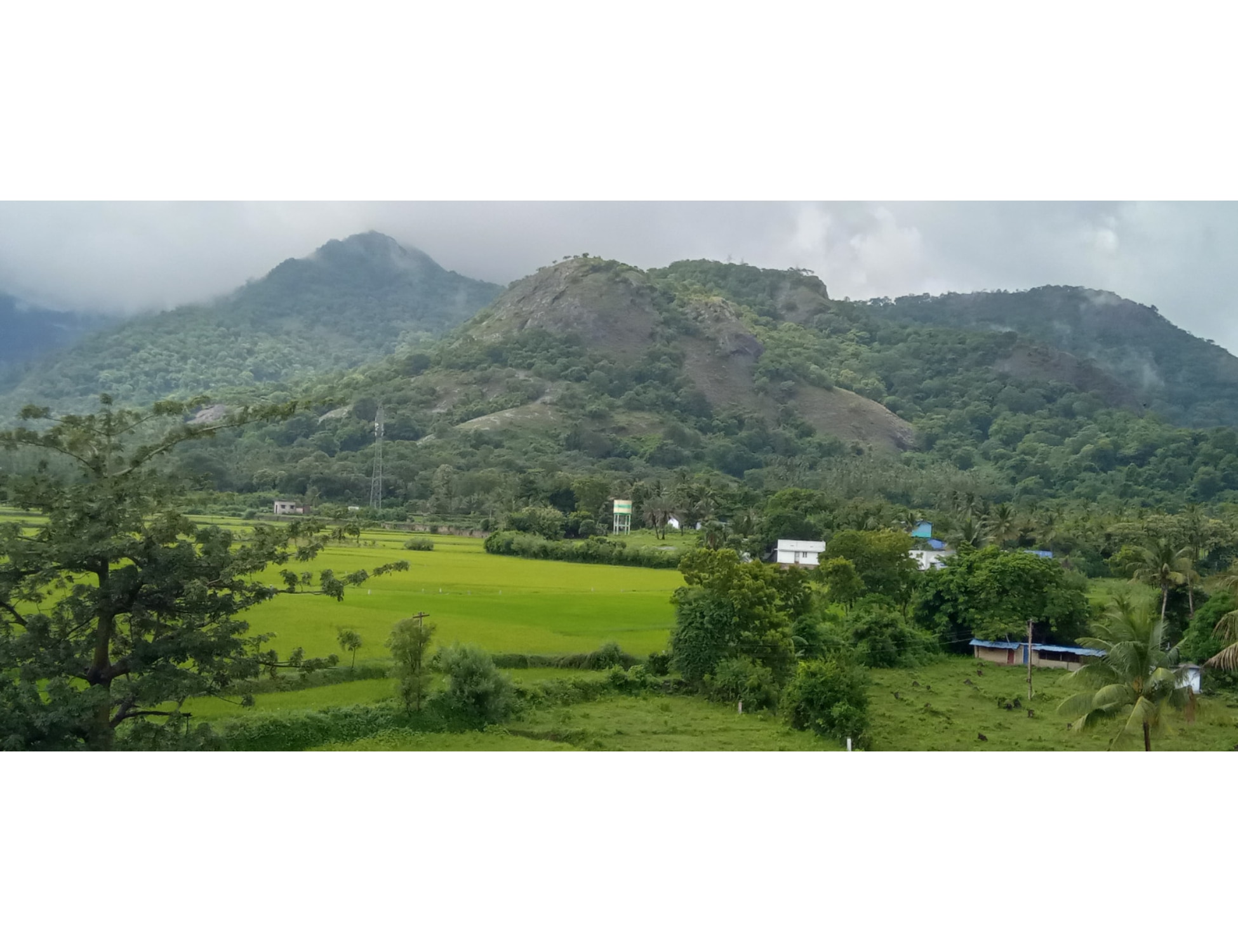 AMMA INN HIGHWAY HOTEL - Tap to explore photos