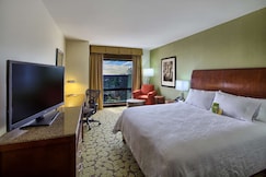 Hilton Garden Inn Durham/University Medical Center, Durham