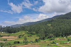 Grace cottage, Munnar