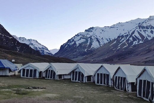 Marmote Camp Sarchu