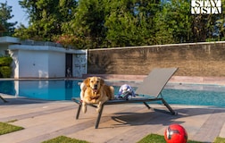 Swimming Pool 1