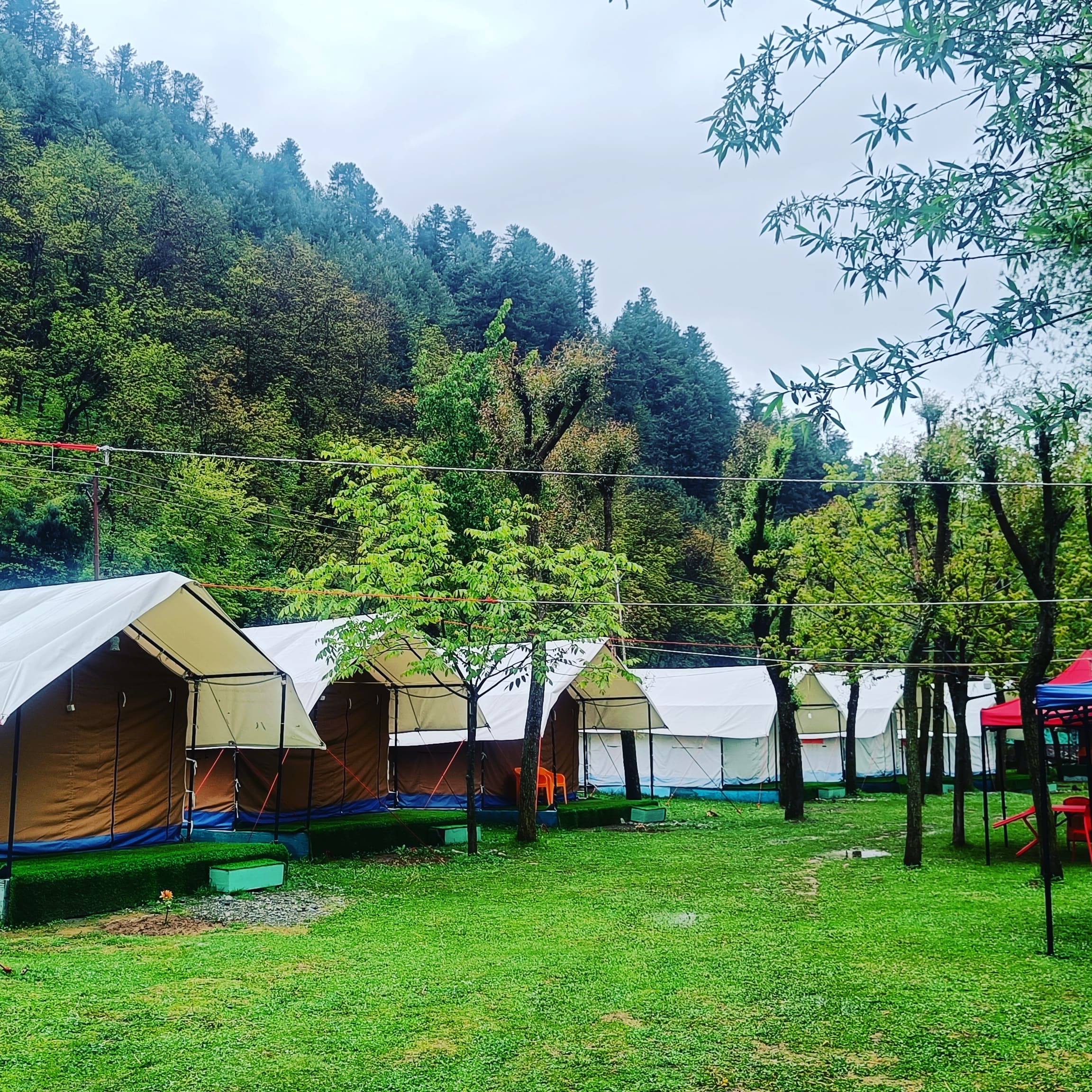 Festival Inn Camping Site - Holiday Selection - Tap to explore photos