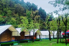 Festival Inn Camping Site, Pahalgam