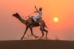 Desert Cactus Resort, Jaisalmer