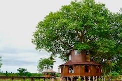 Ciarans Tree House, Goa