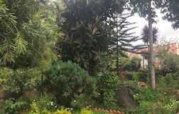 Family Room With 2 Queen Beds and Balcony