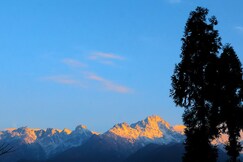 Wild Flower Retreat, Ravangla