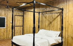 Bamboo Suite 