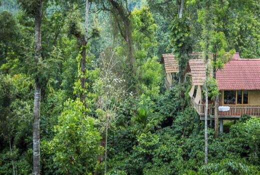 The Coffee County Resorts