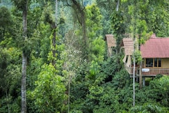 The Coffee County Resorts, Wayanad