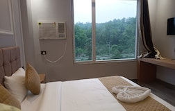 Jungle view 