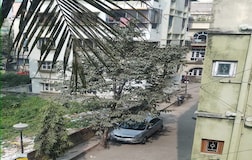 Entire Flat