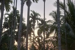 Gold Coast Resort, Diglipur, Diglipur