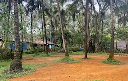 Outdoors
