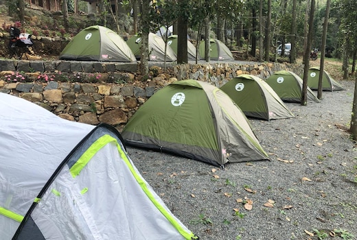 WT Puliyur  Yercaud   Campsite