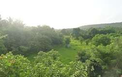 Outdoors