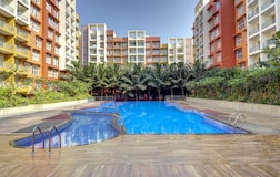 Swimming Pool 1