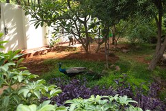 SUVA Stay In, Thiruchendur