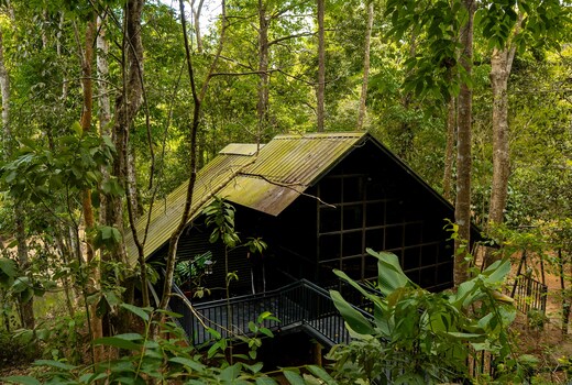 Ranches Jungle Beats Resorts