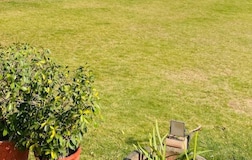 Outdoors