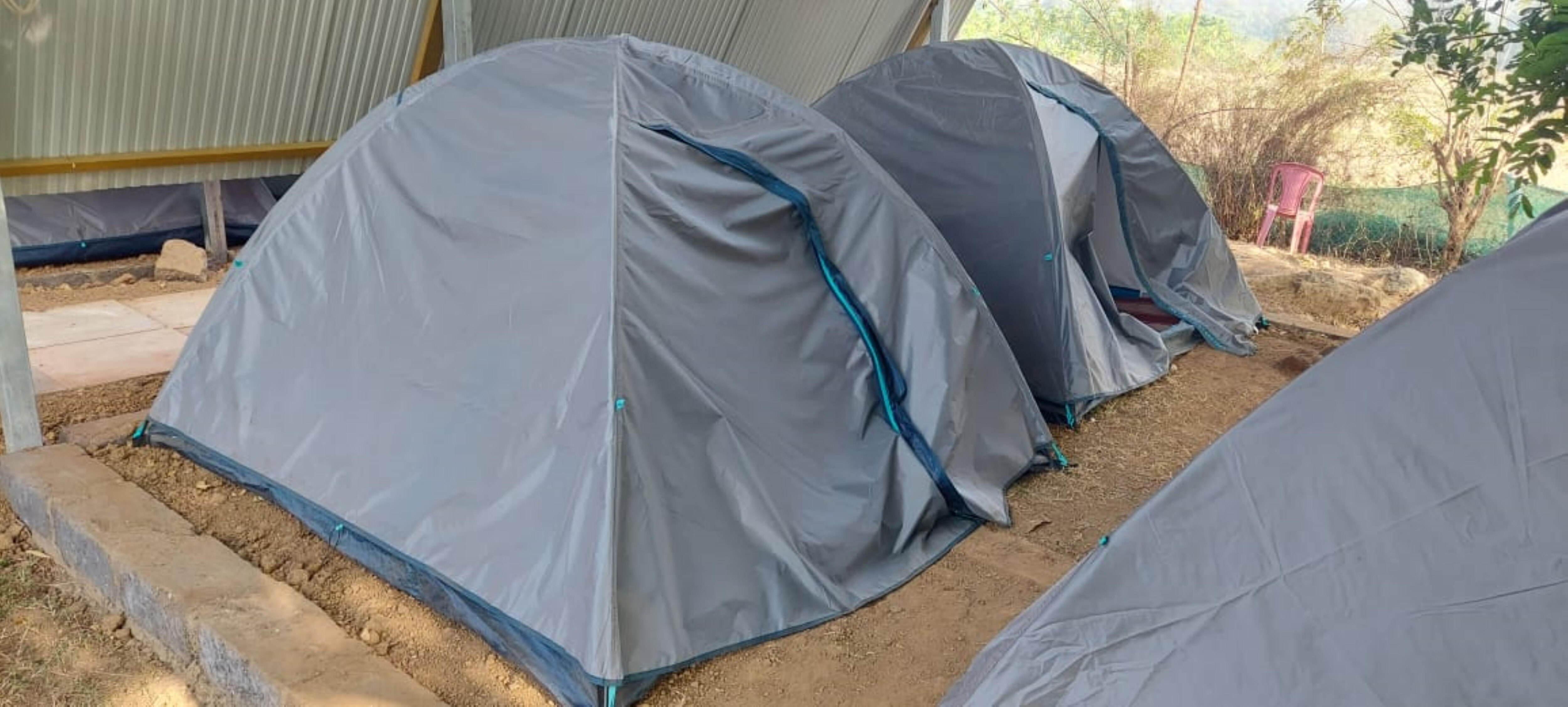 Eagle Eye Jungle Stay in Tent - Tap to explore photos