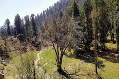 The Vinshar Bagha Sarahan, Hangrang