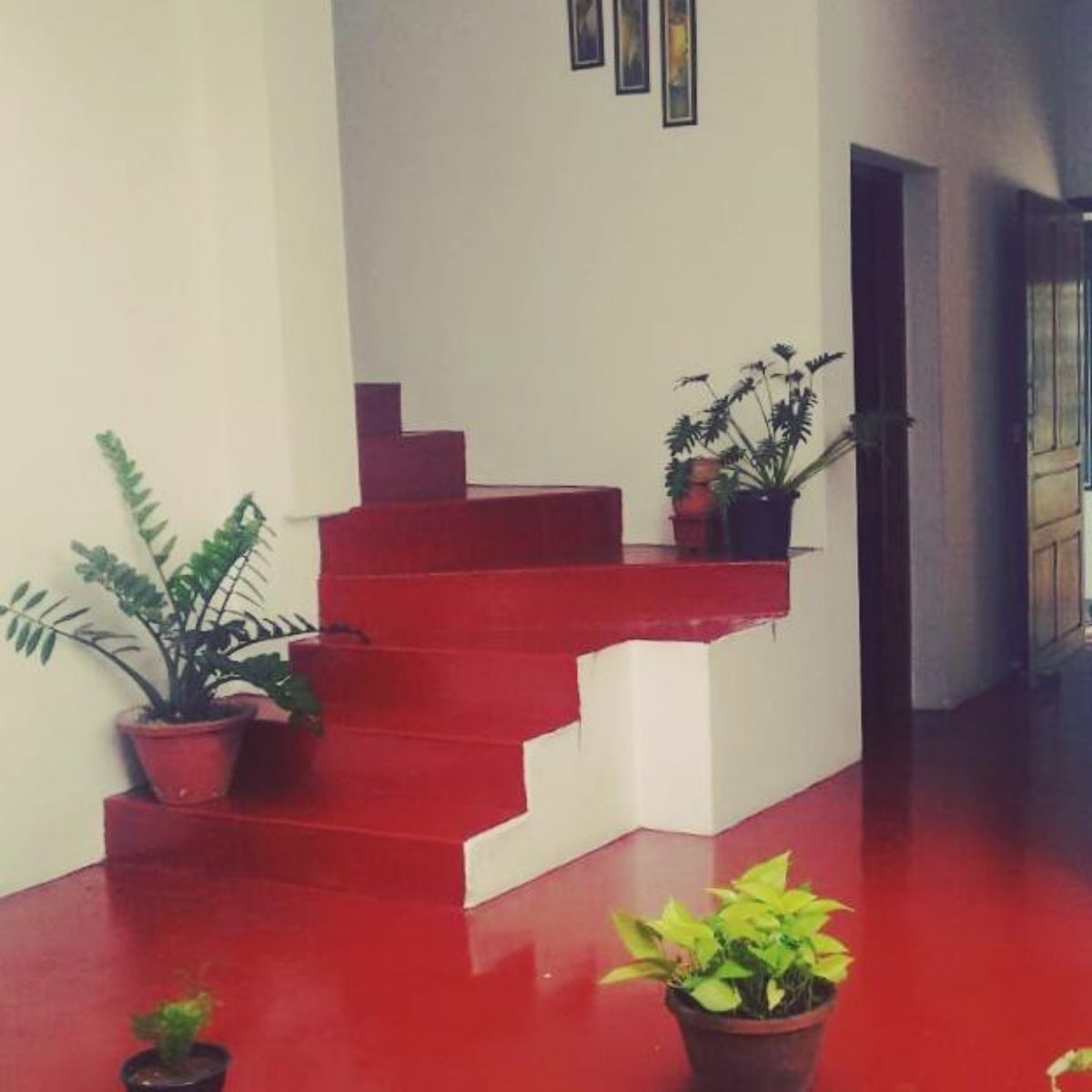 Snehadhara Homestay - Tap to explore photos