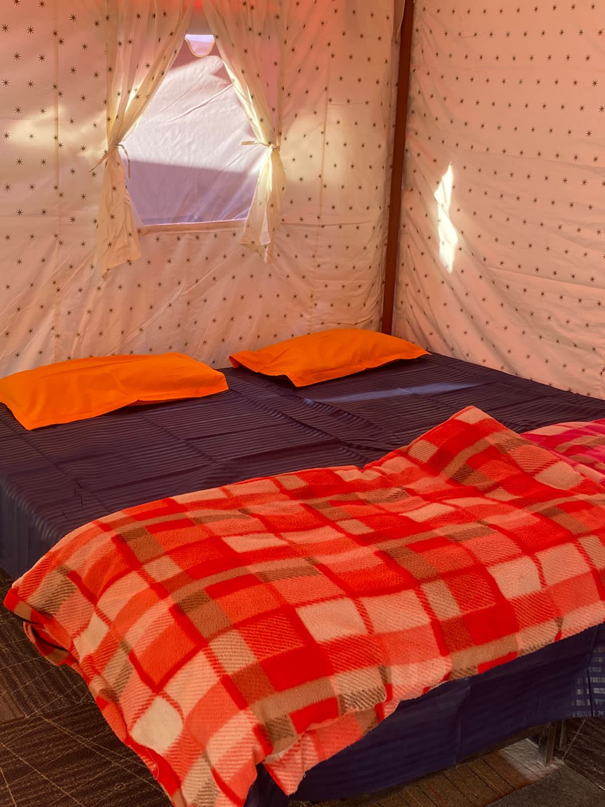 Soultree Camps and Resort - Tap to explore photos