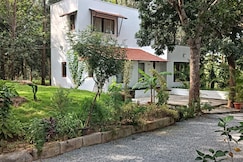 Rustic Grove, Denkanikota