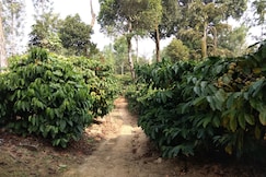 Coffeeland Homestay, Coorg