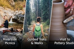 Araiya Palampur, Dharamshala