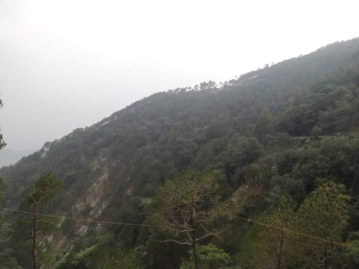 Fogg Valley Dalhousie - Tap to explore photos