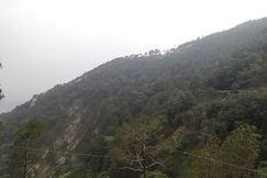 Fogg Valley Dalhousie, Dalhousie