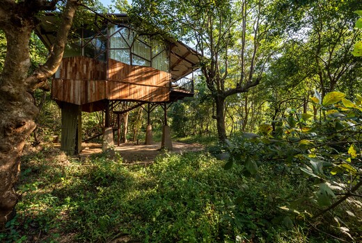 Kanha Jungle Camp