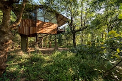 Kanha Jungle Camp