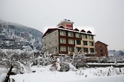 Apple Nest, Manali, Manali