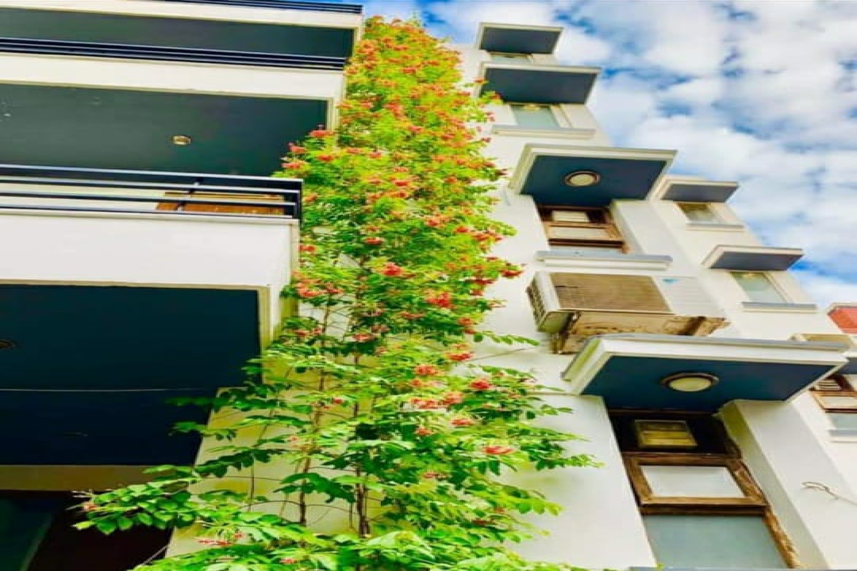 Hotel O Vtrivel Stay Near Appu Ghar - Tap to explore photos