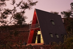 Green Lush, Thekkady