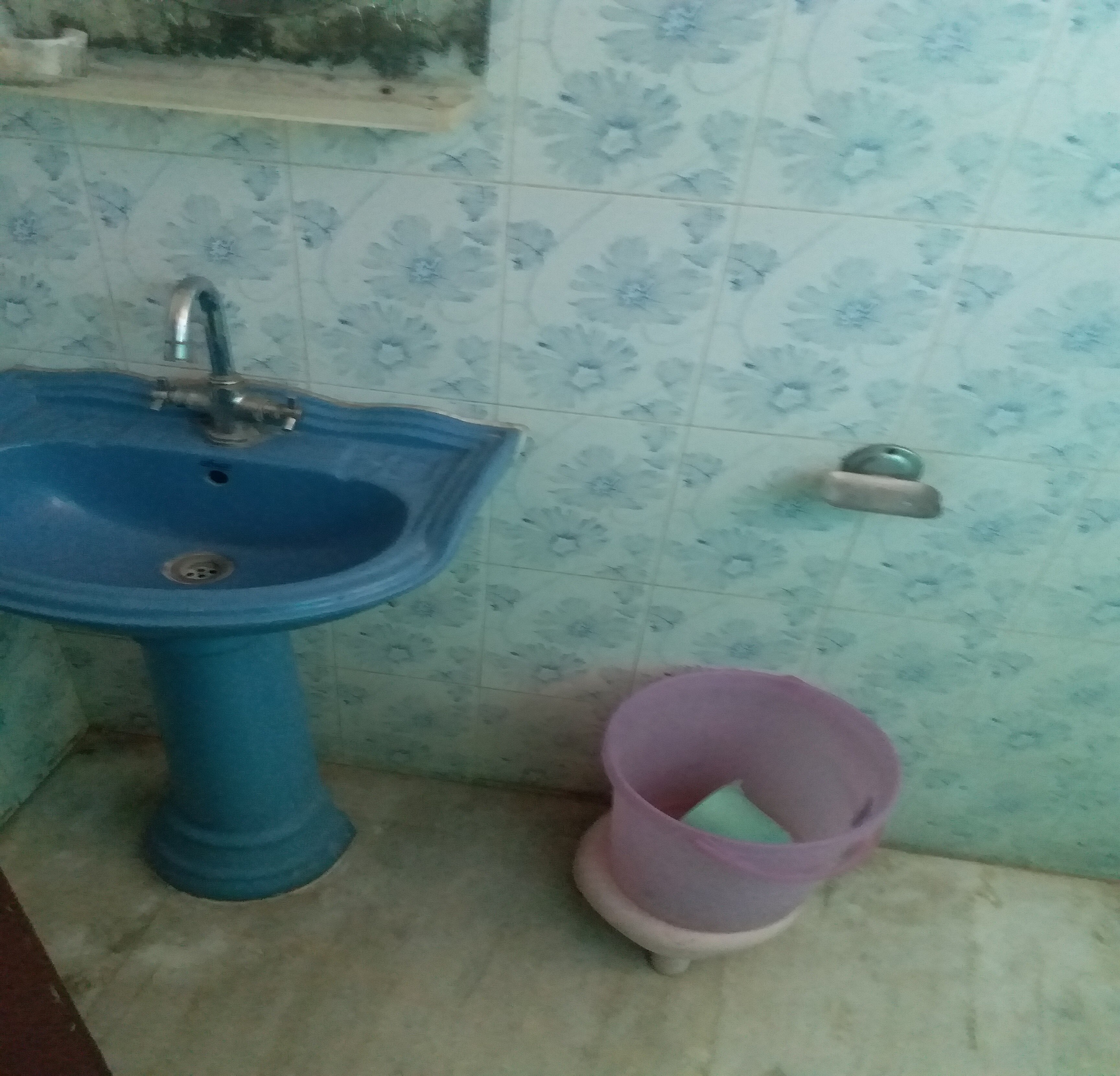 PADMINI GUEST HOUSE - Tap to explore photos