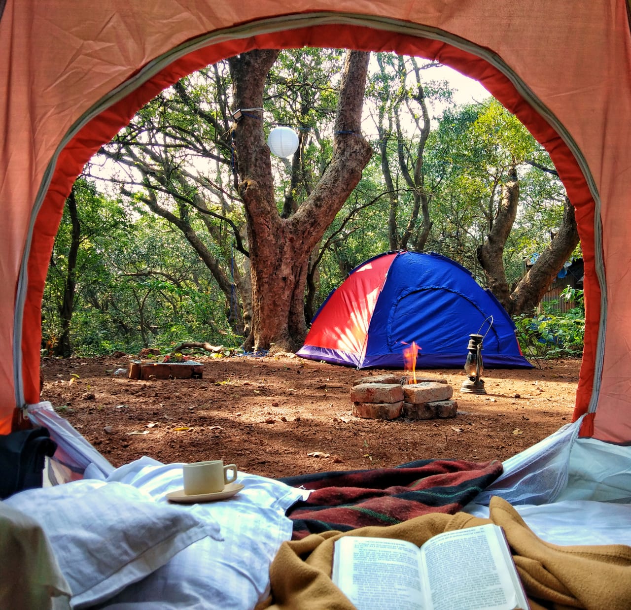 Forest Tent Camping 1