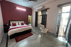 Lazy dodo, Jaipur