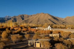 The Postcard in the Himalayan Willows , Stok, Leh, Leh