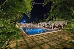 Dacha Resort, Goa