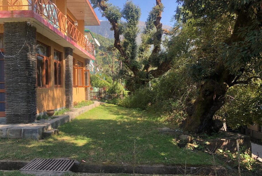 Oak Wood Villa Best Rates On Dharamshala Hotel Deals Reviews Photos Oak Wood Villa Best Rates On Dharamshala Hotel Deals Reviews Photos