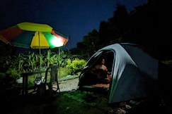 Teesta valley botanical garden, Darjeeling